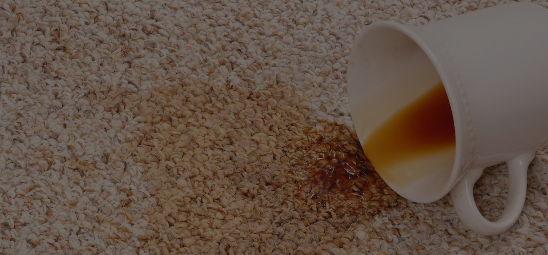 Deep Clean for Your Carpets & Rugs